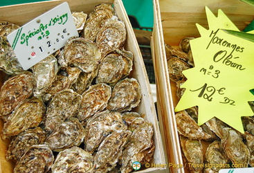 Oysters from different regions of France